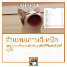 หากถามว่า popcat นั้นได้รับความนิยมขนาดไหน แม้แต่ freddy heppell หนึ่งในผู้พัฒนาเกมนี้ยังรู้สึกเซอร์ไพรส์ เมื่อ popcat เป็นเหมือน side project ที่พวกเขาทำขึ้นมาเล่น. Ll4jcqyf013plm