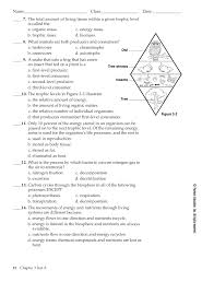 Meiosis i and meiosis ii in the proper sequence. Chapter 3 The Biosphere Test A Dibiasioscience Flip Ebook Pages 1 6 Anyflip Anyflip