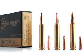 The 6 5 300 Weatherby Magnum