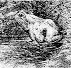 Anamorphic illusion a 3d loch ness monster. Almost Nobody Can Spot The Horse Hiding In This Ordinary Picture Of A Frog Do You See It Optical Illusions Pictures Illusion Pictures Cool Optical Illusions