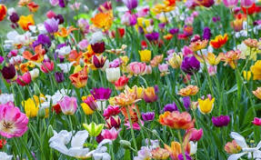 Spring framework makes the easy development of javaee application. Spring Data Jpa And Database Relationships Dzone Database