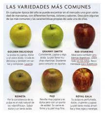 Nosotras Que Nos Queremos La Manzana Variedad Y Beneficios