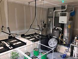 How to make a co2 generator for your greenhouse/grow room plants if you have a greenhouse or grow room and have wanted to put in a co2 system but couldn't afford the expense or had difficulty with how technical one can be to set up and run, have i got the solution for you! Issue With My New Grow Room And Co2 Levels Dude Grows