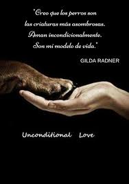 Sign In Mascotas Frases Perros Frases Perros
