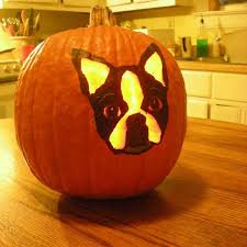 See all formats and editions hide other formats and editions. 22 Dog Themed Pumpkin Carvings That Will Get You Into The Halloween Mood