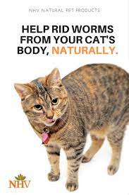 However, the treatment differs, depending on the type of infestation your infection by roundworm is treated using mebendazole (vermox, emverm) and albendazole (albenza). How To Deworm A Cat At Home Remedy Arxiusarquitectura