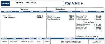 For a more advanced computer user who knows how to effectively use excel programs, this is truly the best. How To Sell Online Payslips To Your Employees Payroll Things To Sell National Insurance Number