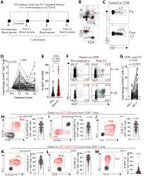 Characterisation of clinical response and transcriptional profiling of  proliferating CD8 T cells in the blood of cancer patients after PD-1  monotherapy or combination therapy