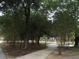 Nibble, slurp, and chow your way through petaling jaya, a suburb of kuala lumpur that offers up endless options for tourists hungry for a taste. Tasik Taman Jaya Petaling Jaya 2021 All You Need To Know Before You Go With Photos Tripadvisor