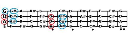 Explained Bass Guitar Notes Fretboard Radius And Neck Profile