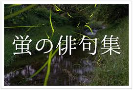蛍の俳句 30選】日本の初夏の風物詩!!オススメの俳人名句＆一般俳句ネタ例を紹介 | 俳句の教科書｜俳句の作り方・有名俳句の解説サイト