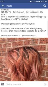 Pin By Coloureddreams Isabella On Hair Accessories And Hairstyles Aveda Hair Color Aveda Color Aveda Hair