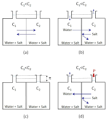 Osmosis definition osmosis is a type of diffusion that, in biology, is usually related to cells. Reverse Osmosis Process And Applications Condorchem Envitech