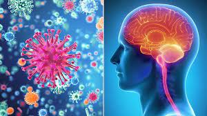 Viral Meningitis: Causes, Treatment, And Prevention | Everyday Health