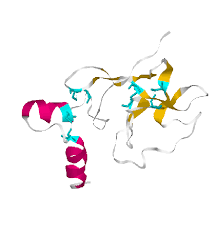 Sbi Structural Bioinformatics