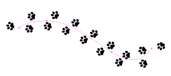 Image result for image of dog paw print