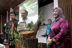 Hutan ini meliputi kaki bukit atau cerun gunung di bahagia tengah semenanjung malaysia dan bahagian pedalaman sabah dan sarawak. Upm Lancar Buku Teks Pertama Berkenaan Hutan Hujan Tropika Di Malaysia Fakulti Perhutanan Dan Alam Sekitar