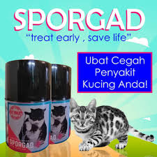 Maka penting untuk mengetahui penyebab dan cara mengobati penyakit kulit pada kucing berikut ini. Cat Dog Ubat Kucing Ubat Anjing Sporgad Meyembuhkaan Penyakit Sporo Kurap Fungus Luka Gatal Shopee Malaysia