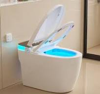 Smart Toilet Multi-Flush Modes (Auto-Off-Seat, Side Button, Foot Sensor,  Remote Control), Manual Lid/Ring Flip