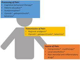 A Commonsense Patient Centered Approach To Multimodal Analgesia Within Jpr