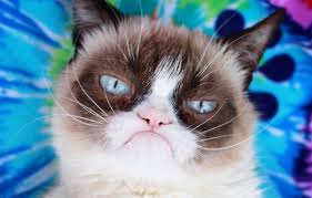 Okay im to the poit where im about to go insane! 10 Of The Most Famous Cat Memes As Of 2020 Grumpy Cat Lives On