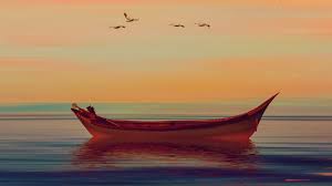 When you purchase through links on our site, we may earn an affiliate commission. Meditation Music Free Download Friday Free Downloads From Mm