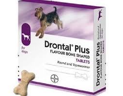 Indications, dosage, adverse reactions and pharmacology. Drontal Plus For Dogs Premarket Pet Products