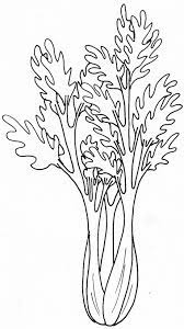 coloriage legume les beaux dessins de nature a imprimer et colorier page 16 princesse disney en ligne