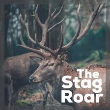 Don't put up with restrictions. Ep168 David Todd Toddy Talks Stag Roar Podcast