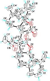 Image result for Alinula sp.