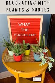 The flowers appear in spring and summer in the cold climate. Funny Plant Quotes Funny Garden Quotes The Gifted Gabber