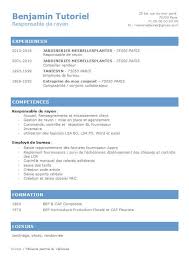 Modèle de cv à remplir type. Modele Cv Sans Photo 21 Cv Gratuit Modele Cv Gratuit Word Exemple Cv Gratuit