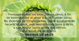 Hebreos 10 24 25 Versiculo De La Biblia Dailyverses Net