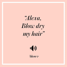 Blow Dry Quote Hair Inspiration Quotes Hairstylist Quotes Hair Salon Quotes