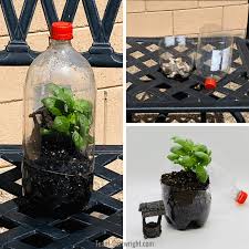 Bottles are hanging horizontally, attached through the strings. Diy Soda Bottle Terrarium For Kids Team Cartwright