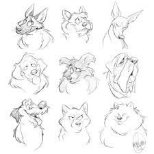 Dingostuff Cartoon Dog Drawing Dog Sketch Animal Drawings