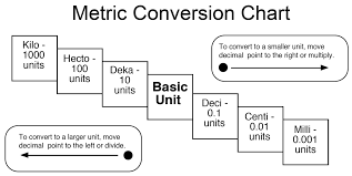 Printable Metric Conversion Chart For Kids World Of Reference