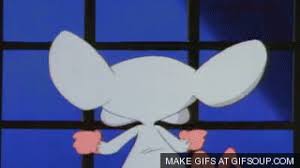 Animation.the characters first appeared in 1993 as a. Pinky And The Brain Pinky Brain Gif Find On Gifer