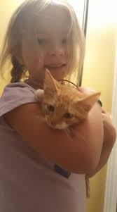 Our daughter and our new kitty, Ron Weasley!