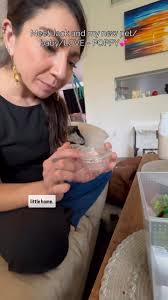 Overcoming Fear and Loving Jumping Spiders as Pets