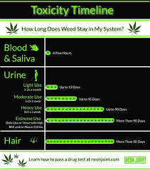 How long does weed stay in your hair? Cbd Life