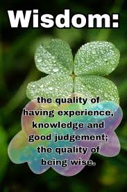 Freetoedit Wisdom Wisdom Means The Quality Of Having Experience Knowledge And Good Judgement The Quality Of Being Wise Dictionary Wisdom Wise Knowledge