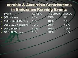 This will be your 5k goal pace over 800 meters. High School Distance Training Developing The 3200m Runner David Halliday Director Of Track Field And Cross Country Flagler Palm Coast High School 2016 Oat Ccc Ppt Download
