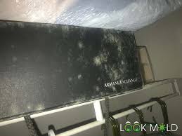 Usually, they are extensively used for eliminating fuzz on clothes like sweaters or hoodies. White Mold Expert Reveals The Danger Lurking In Your Home