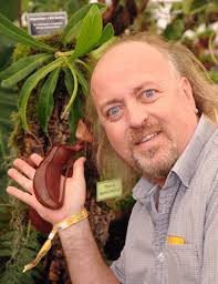 NMC385 Nepenthes Bill Bailey XL Hanging Basket