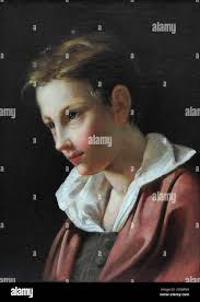 Pierre francois joseph hi-res stock photography and images