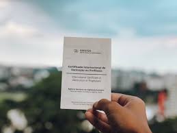 Saiba que a partir do dia 29 será possível imprimir o documento de vacinação contra a febre amarela de forma online, através do portal de serviços do governo federal. Tire O Certificado Internacional De Vacinacao Online Trip To Follow