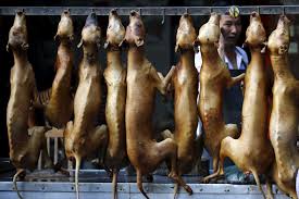 Image result for copyright free images of china dog festival