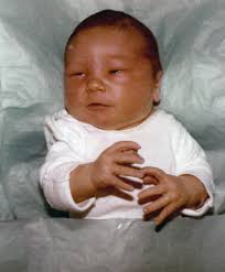 Stephen Gill Obituary