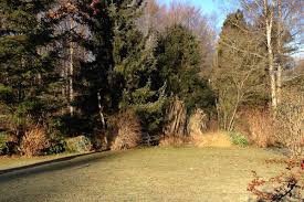 In 1978, ina garten found herself working in the white house on nuclear energy policy and thinking, there's got to be more to life than this! she saw an ad for a small food store for sale in a. Gartenarbeiten Im Januar Und Februar Tipps Fur Den Garten Im Winter